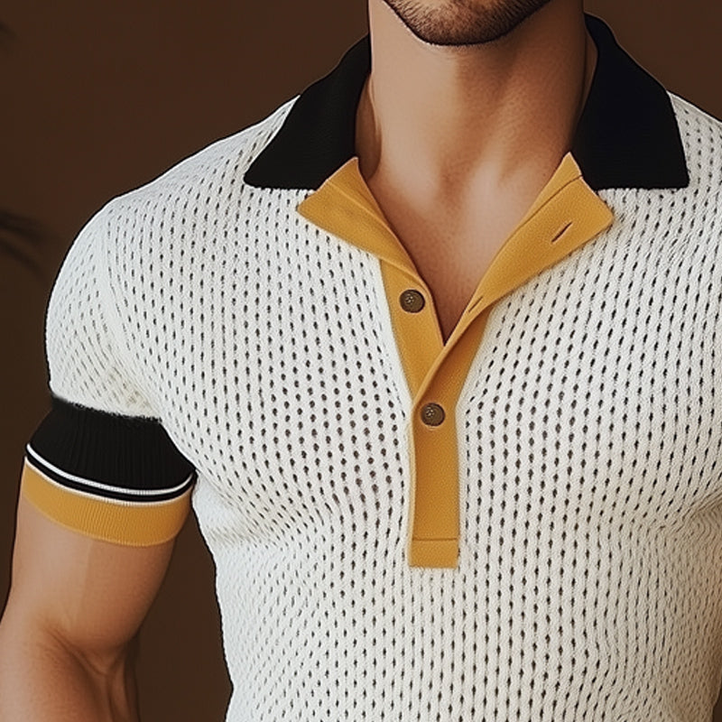 Men's Business Comfortable Colorblock Knitted Mesh POLO Shirt MTA0740E5U