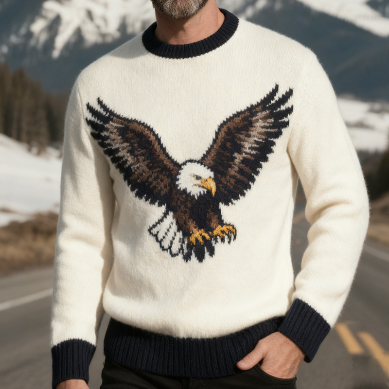 Men's Retro Casual Knitted Eagle Crew Neck Sweater MTA2969K7TO