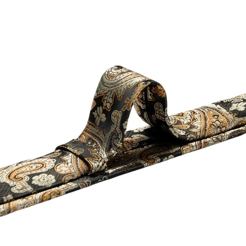 Hommes Élégant Affaires Décontracté Paisley Motif Noix de Cajou Cravate 21688766K