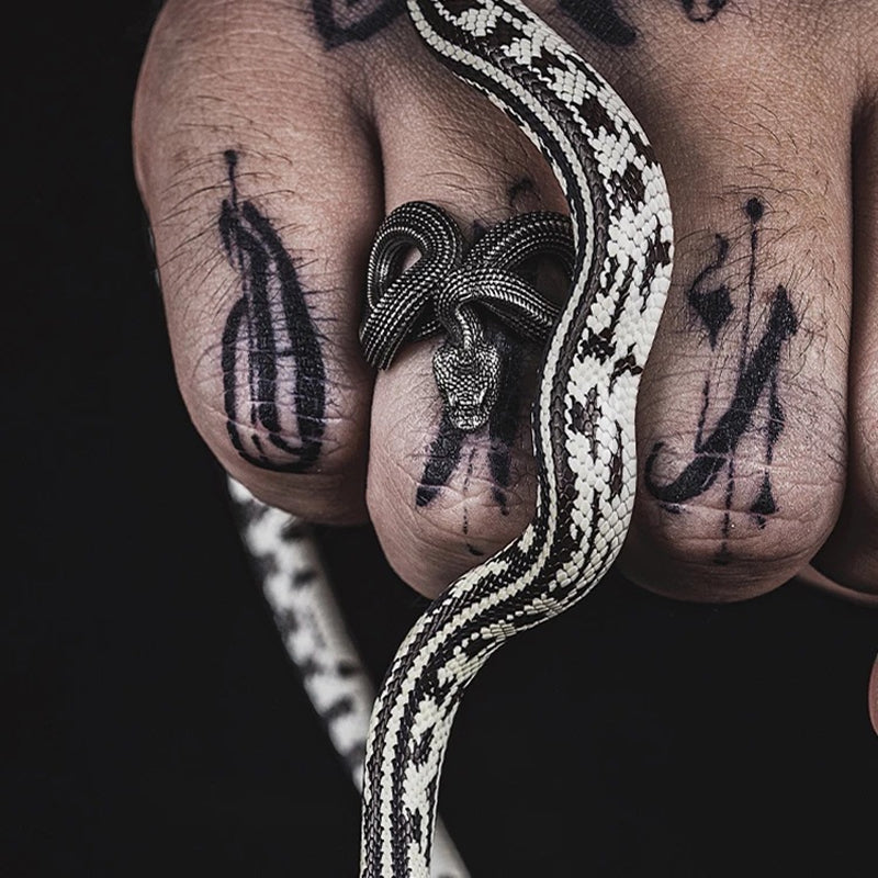 Men's Retro Punk Style Three-Dimensional Python S925 Silver Adjustable Ring MTA3029F5M