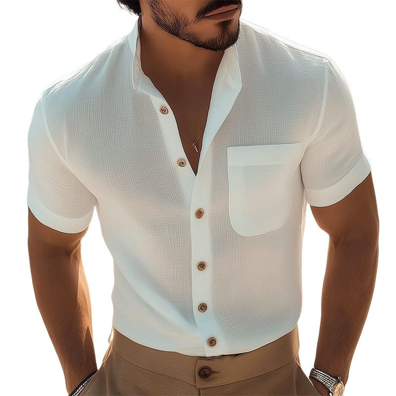 Men's Business Stand Collar Basic Texture Short Sleeve Shirt MTA1435G8U