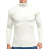 Men's Solid Color Turtleneck Sweater 30507586U