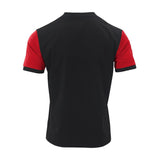 Men's Colorblock Striped Henley Collar Short Sleeve Casual T-shirt 69276338Z