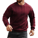 Men's Retro Round Neck Long Sleeve Casual Jacquard Sweatshirt 10307510X