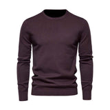 Men's Classic Casual Solid Color Round Neck Slim Sweater 81109540K