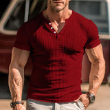 Men's Solid Color Henley Collar Slim Fit Short Sleeve T-Shirt 59395655Y