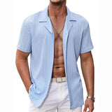 Men's Casual Solid Color Striped Short Sleeve Lapel Shirt 31319945Y