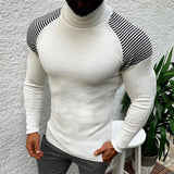 Men's Vintage Stripe Panel Raglan Sleeve Turtleneck Long Sleeve Sweater 83414407Y