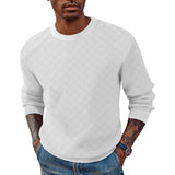 Men's Solid Color Checkerboard Pattern Round Neck Long Sleeve T-Shirt 06420118Z