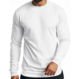 Men's Solid Color Small square Round Neck Long Sleeve T-shirt 43246103Z