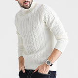 Men's Solid High Collar Long Sleeve Cable Knit Sweater 18417126Z