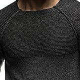 Men's Casual Crew Neck Knitted Sweater 22205115F