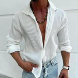 Men's Solid Striped Lapel Long Sleeve Casual Shirt 22113270Z