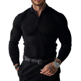 Men's Classic Casual V-Neck Slim Fit Long Sleeve Sweater 48920494K