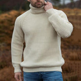 Men's Turtleneck Loose Long Sleeve Pullover Sweater 44125647M