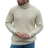 Men's Turtleneck Loose Long Sleeve Pullover Sweater 44125647M