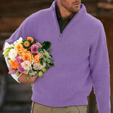 Men's Solid Color Zipper Thick Sweater 04412624X