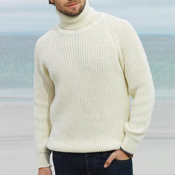 Men's Casual Turtleneck Long Sleeve Pullover Knitwear 38789614M