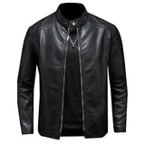 Men's Classic Stand Collar Leather Biker Jacket 17183059X