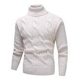 Men's Turtleneck Jacquard Long Sleeve Knitted Sweater 24165461M