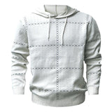 Men's Casual Hooded Long Sleeve Sweater 22435380Y