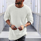 Men's Casual Round Neck Long Sleeve Knit Sweater 28511938M