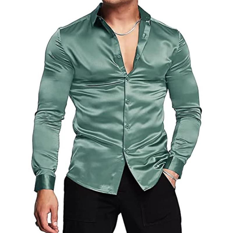 Men's Lapel Long Sleeve Shirt 17175144Z