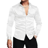 Men's Lapel Long Sleeve Shirt 17175144Z